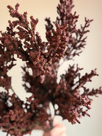 Harvest Berry Branch, Wine