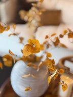 Autumn Eucalyptus Spray, Mustard