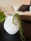 Mini Hanging Succulent