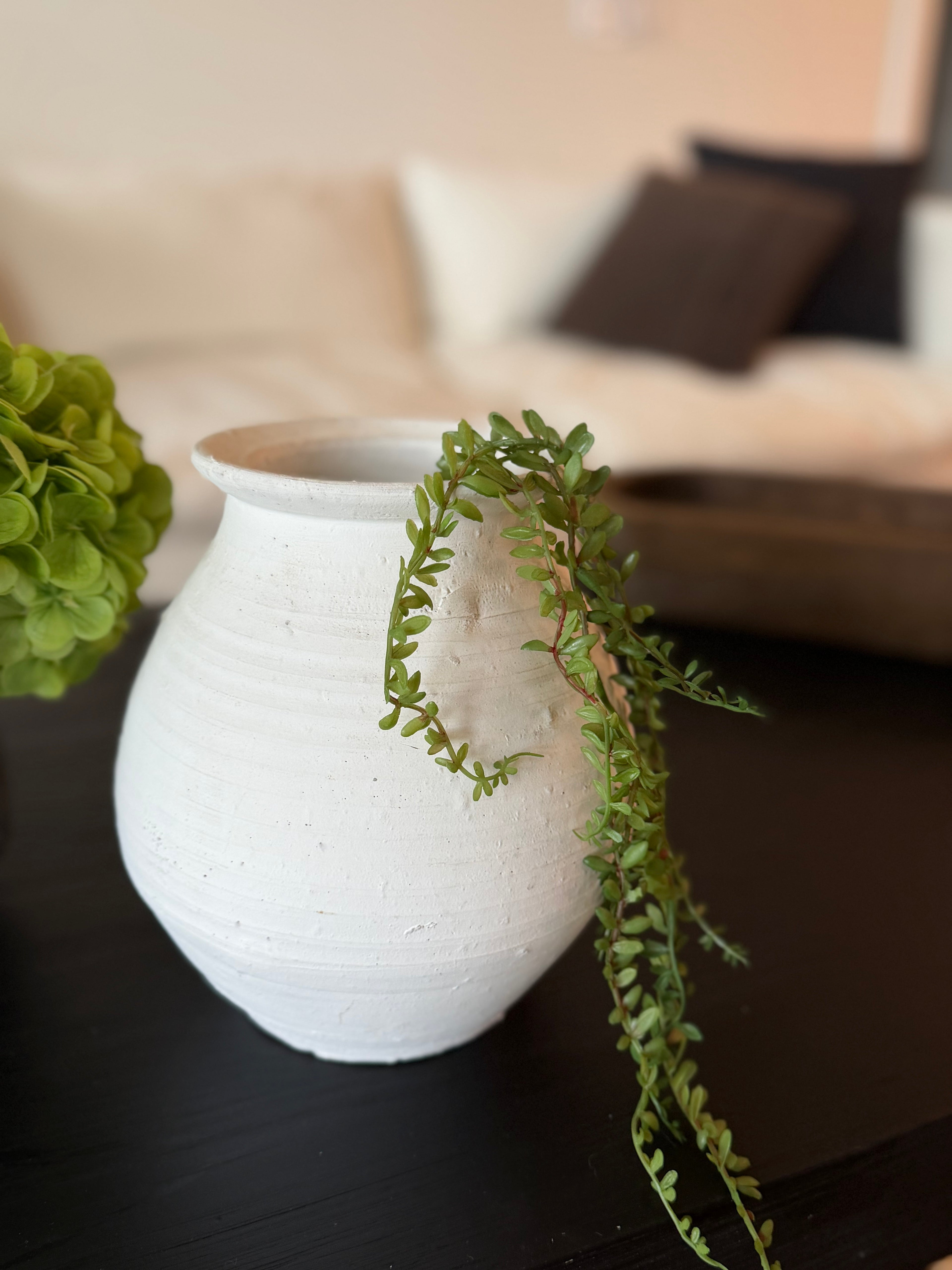 Mini Hanging Succulent
