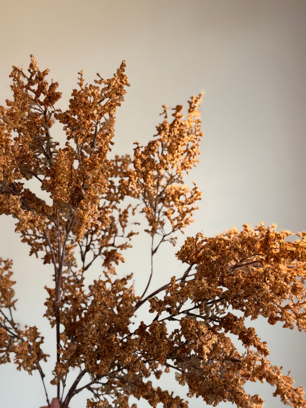 Autumn Berry Branch, Mustard