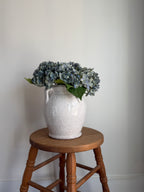 Crackle Amphora Vase, Cream