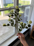 Allium Stem 28”