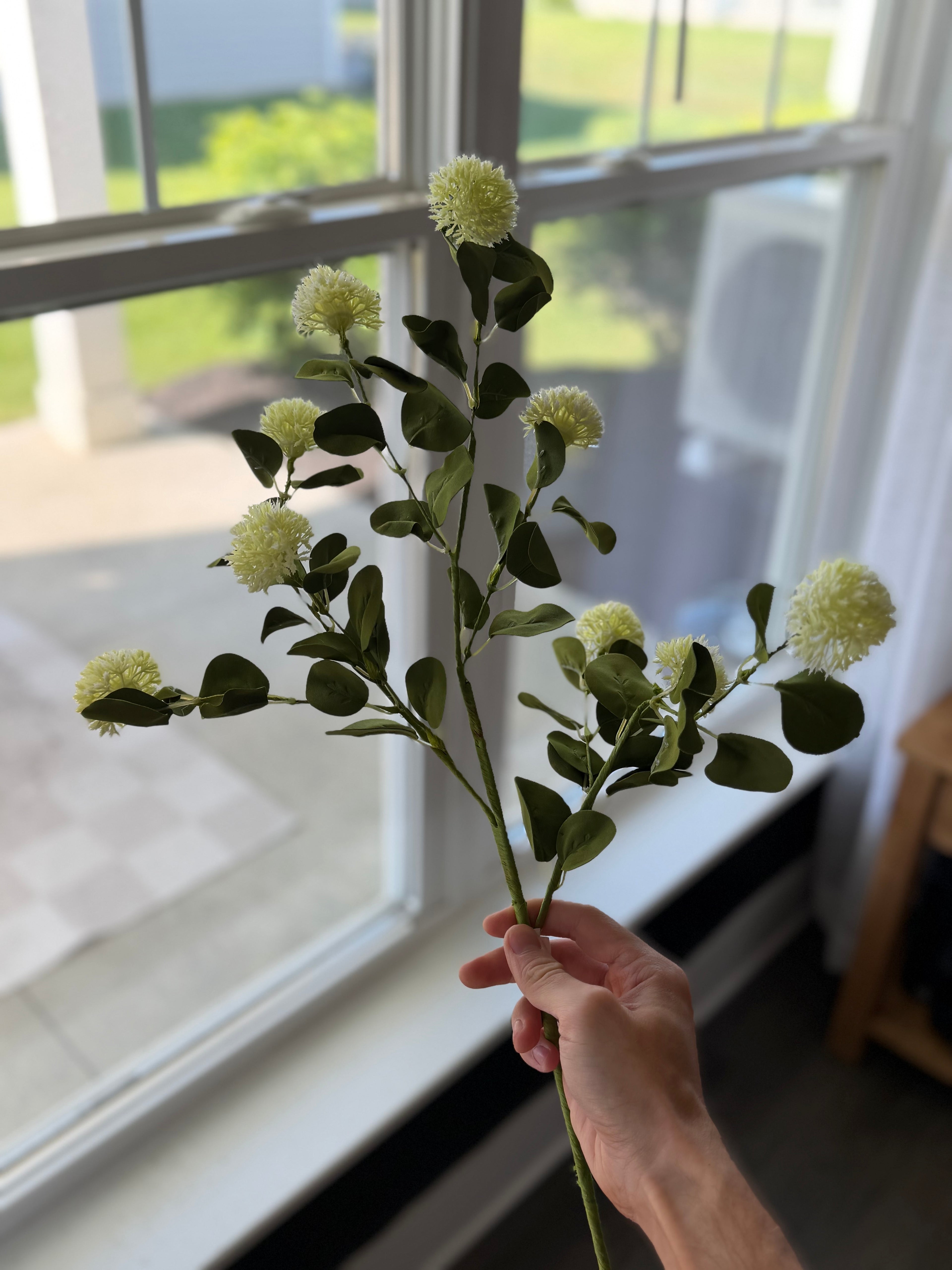 Allium Stem 28”
