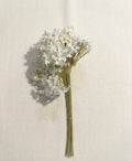 White Lilac Stem 13”