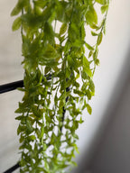 Green Ruscus Hanging Garland 53”