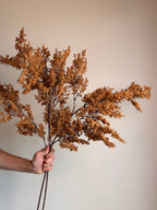 Autumn Berry Branch, Mustard