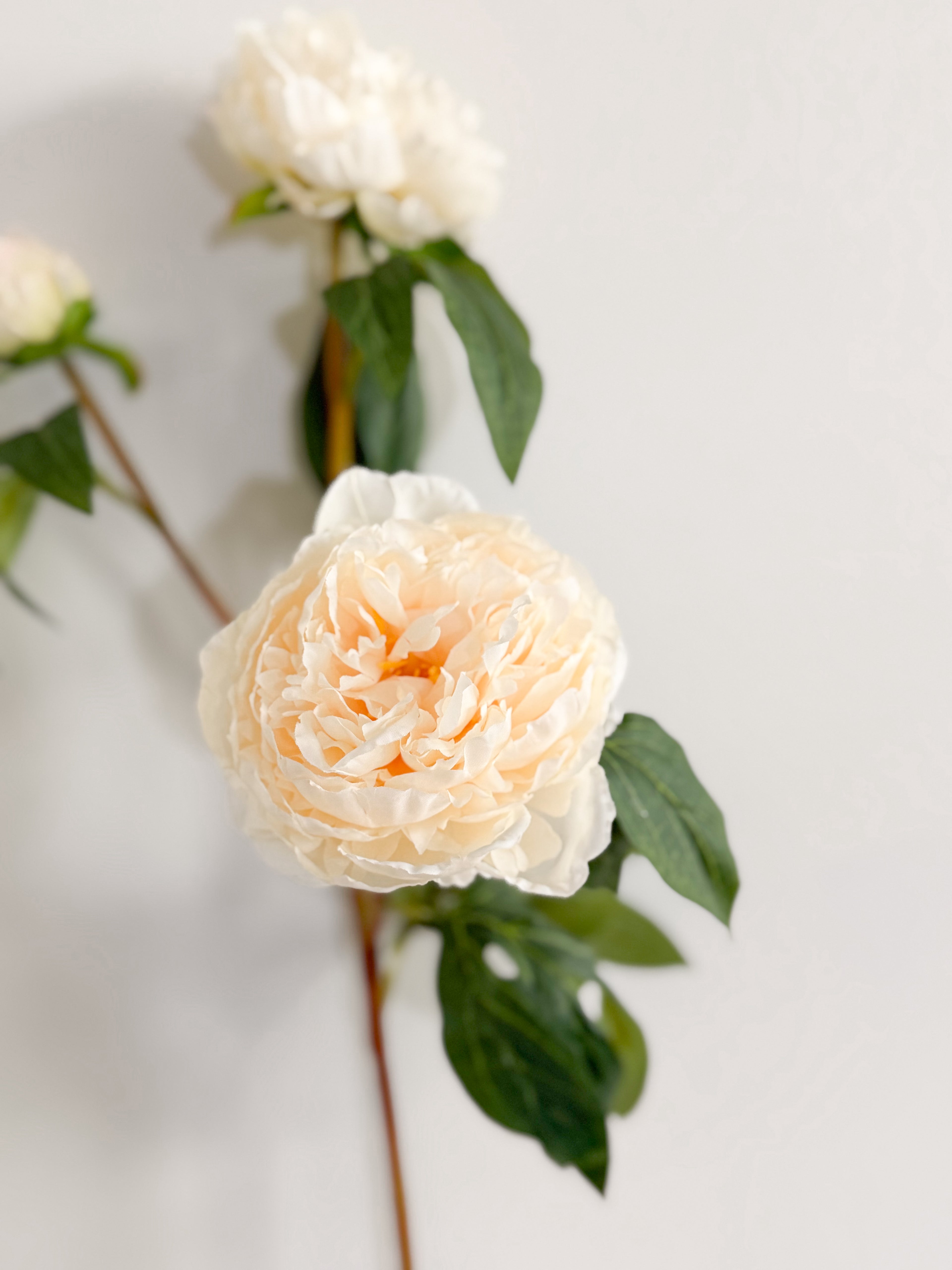 30” Faux Cream Peony Spray
