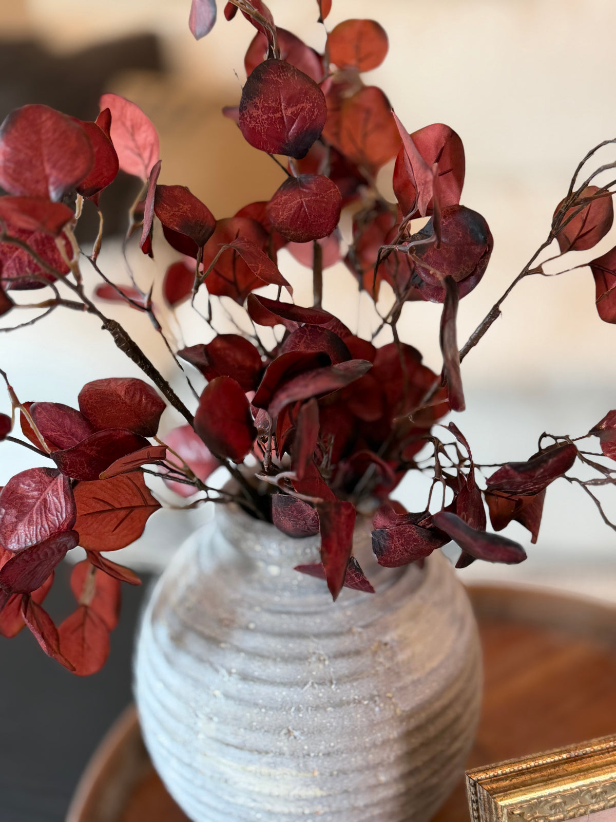 Eucalyptus Stem, Cranberry