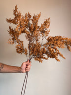 Autumn Berry Branch, Mustard