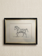 Framed Horse Sketch 12”x15”