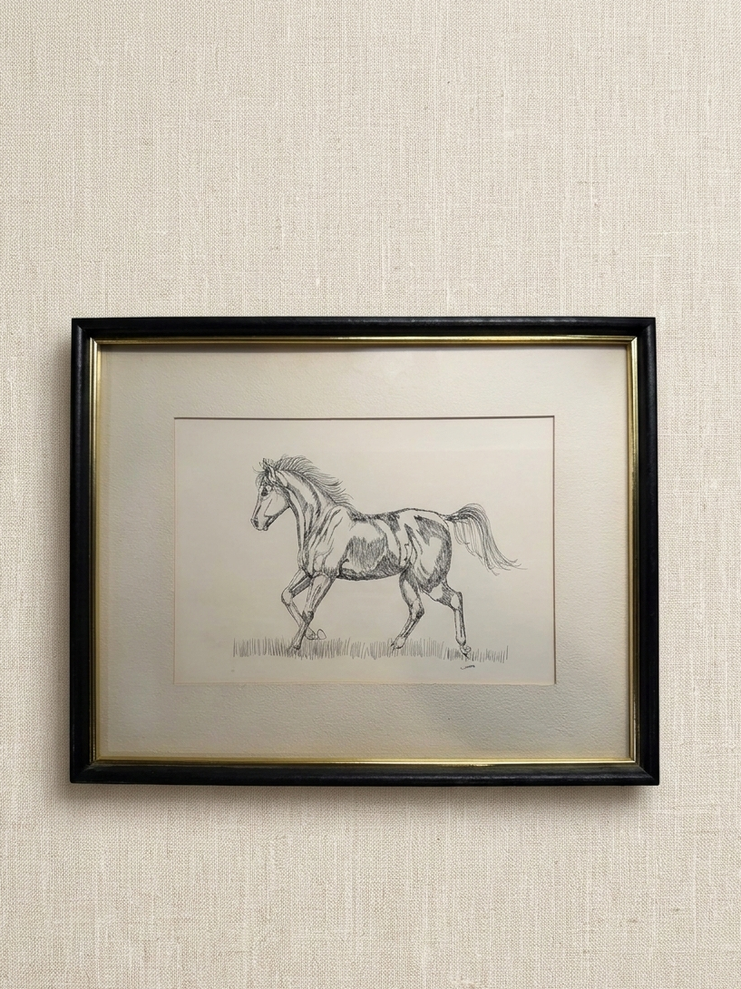 Framed Horse Sketch 12”x15”