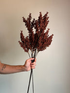 Harvest Berry Branch, Wine