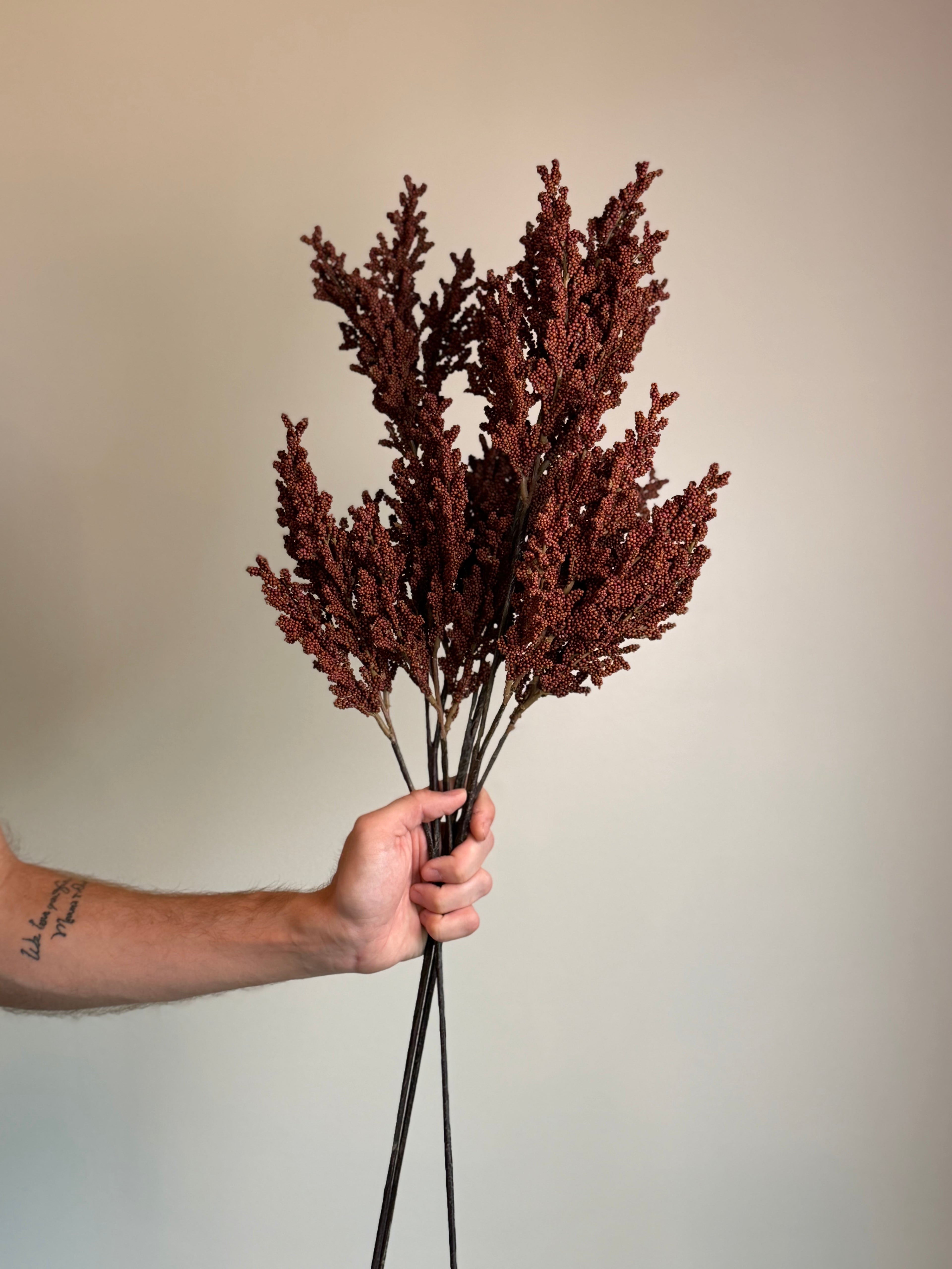 Harvest Berry Branch, Wine