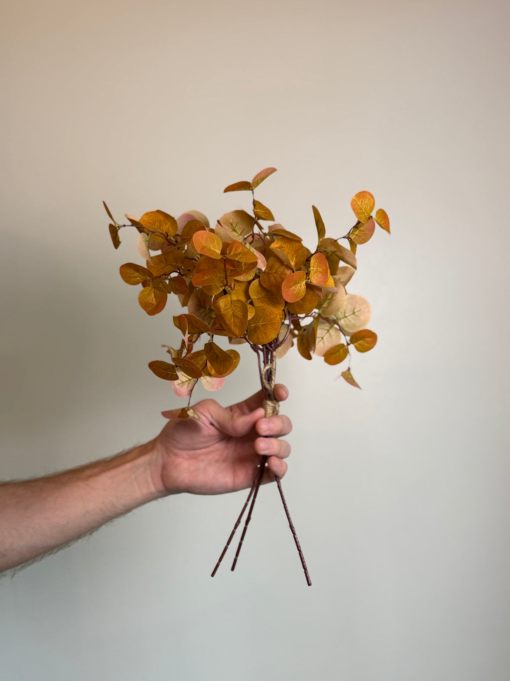 Mustard Eucalyptus Bunch
