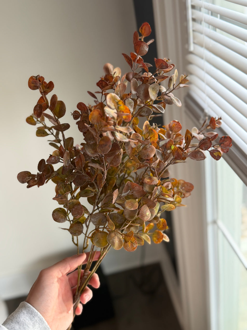 Dusty Eucalyptus Spray