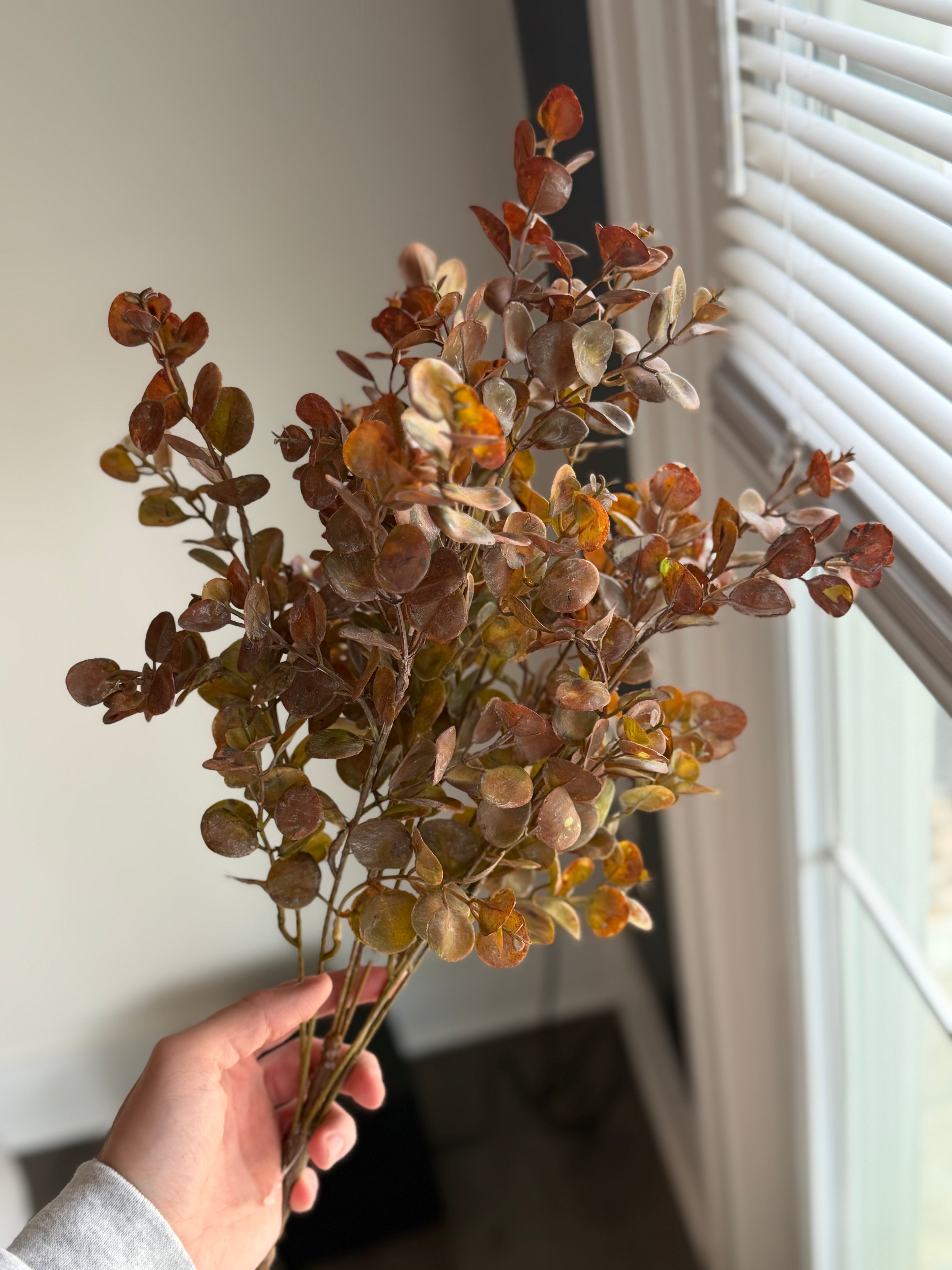Dusty Eucalyptus Spray