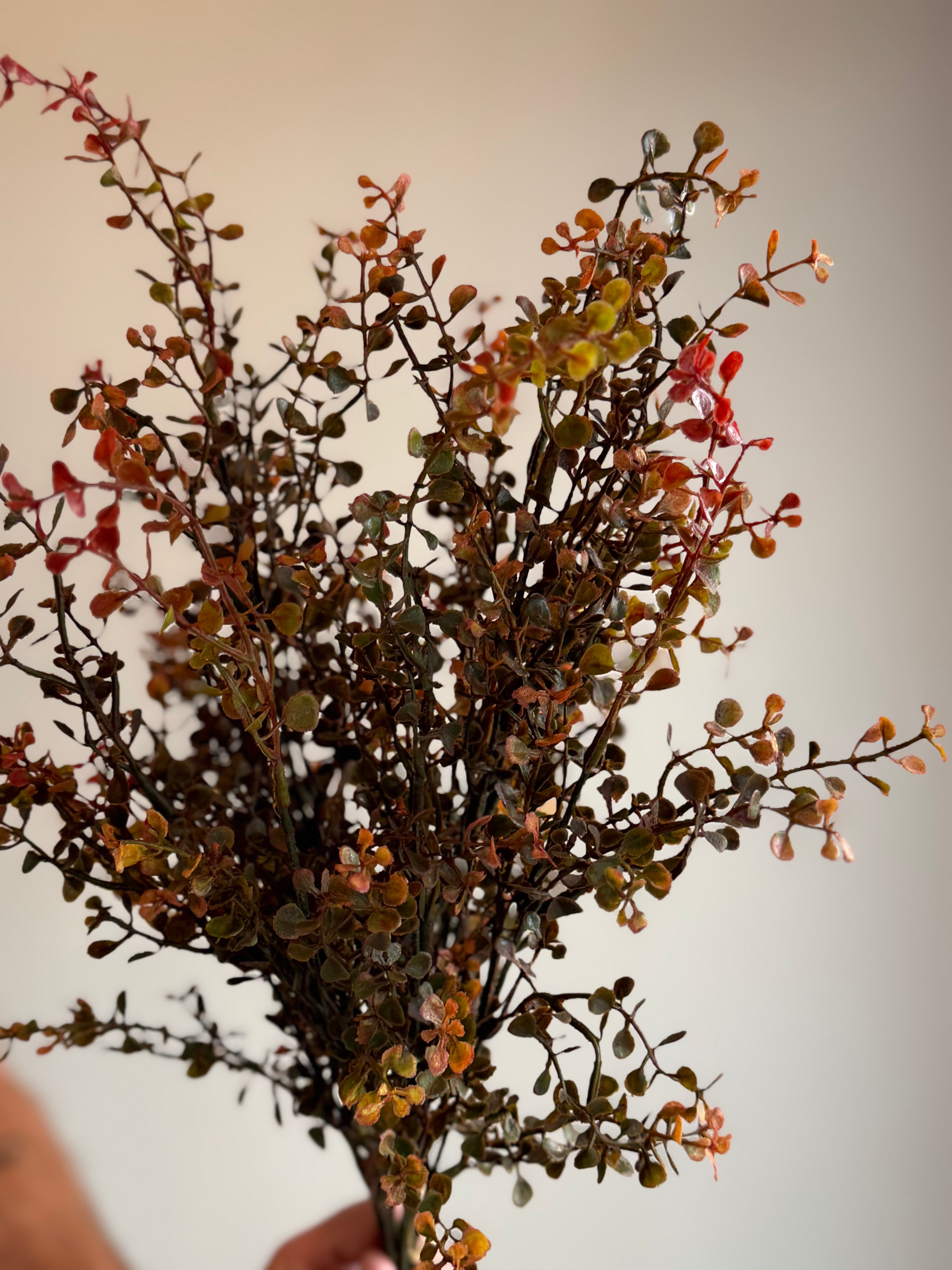 Red Peppergrass Bush 21”