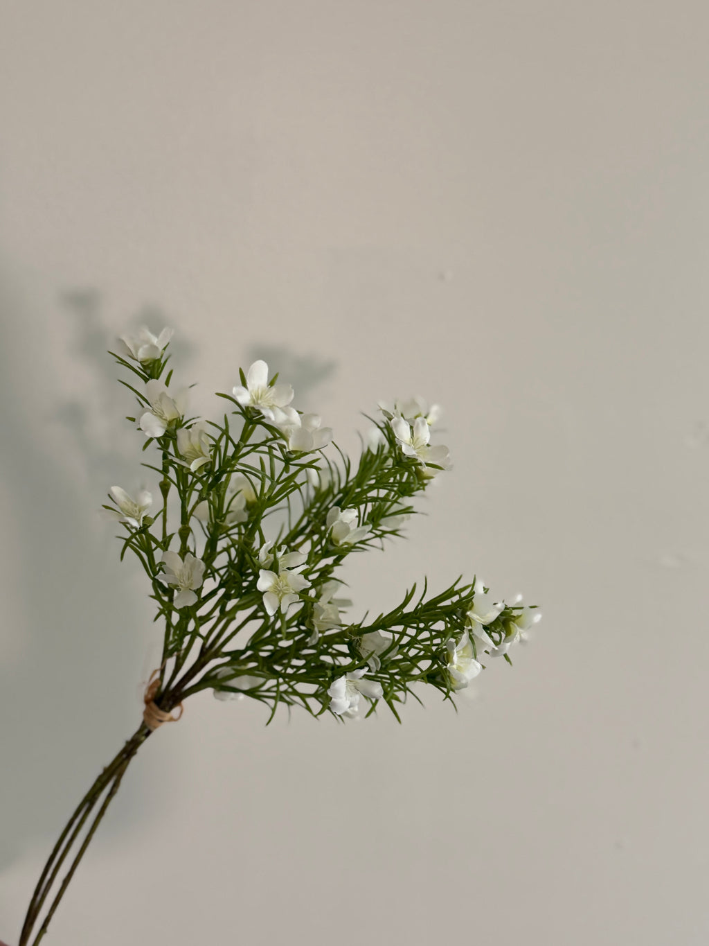 White Astroemeria Pick 20”