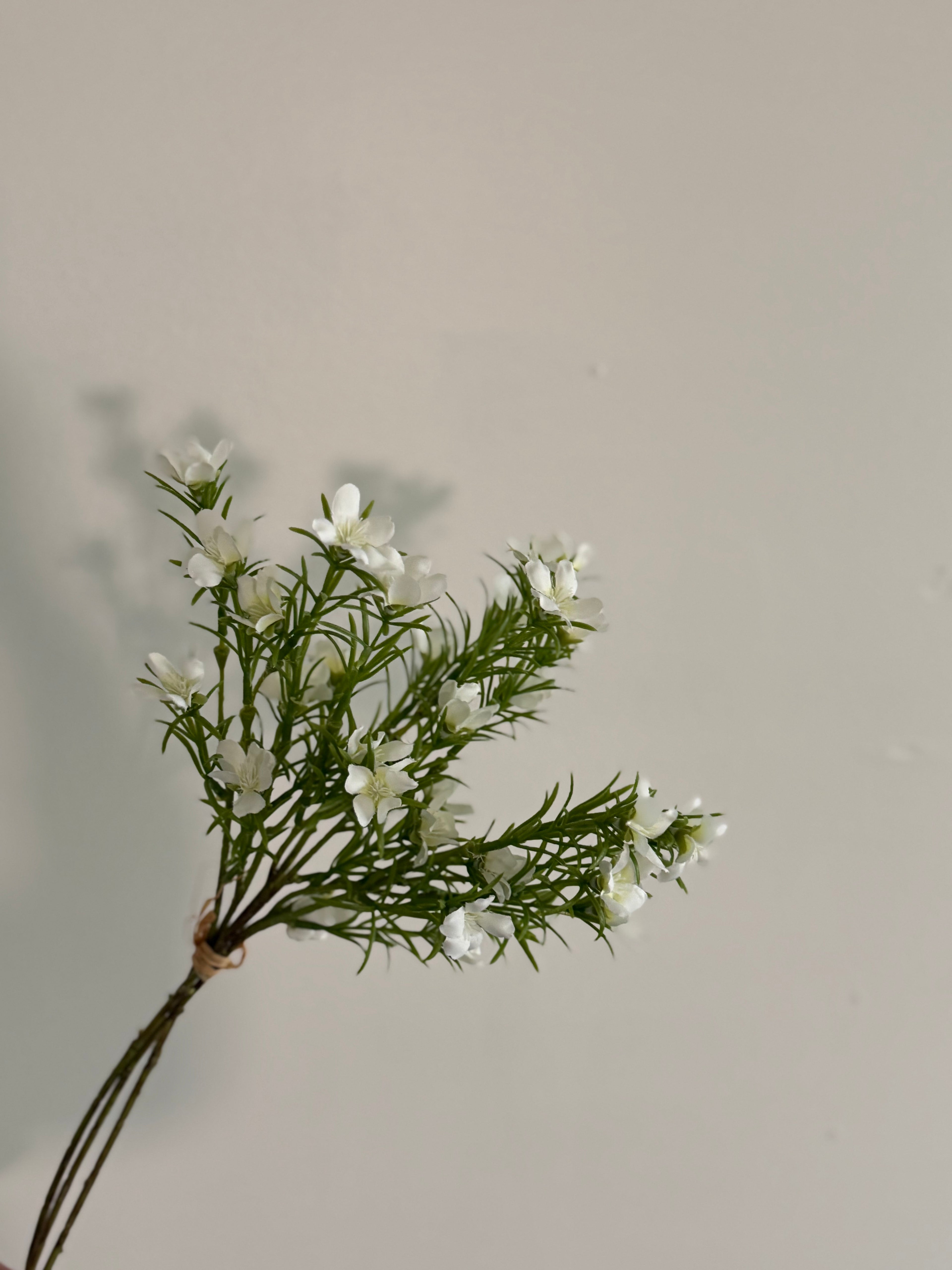 White Astroemeria Pick 20”