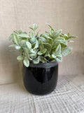 Glossed Black Vessel 7.7”