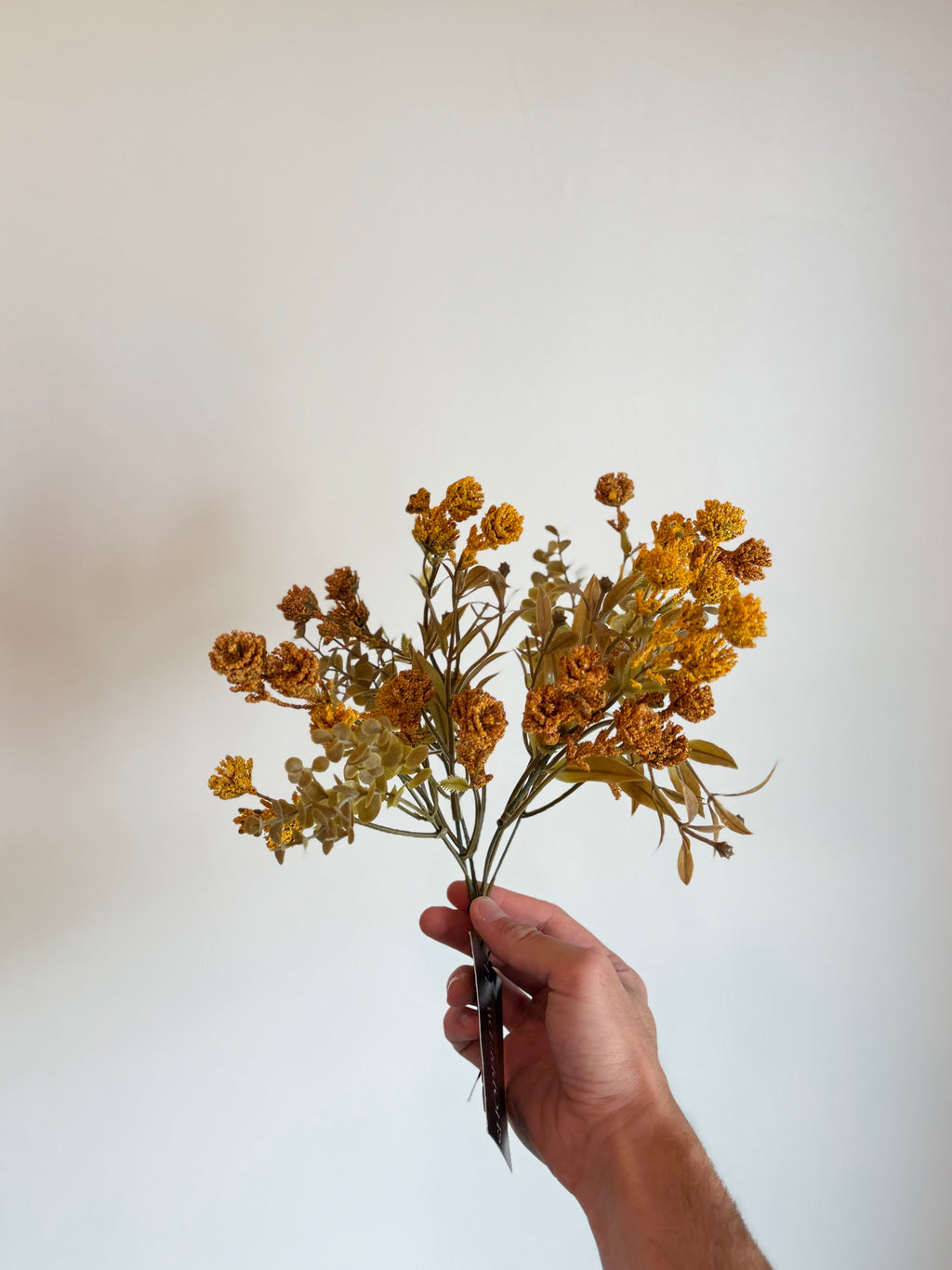 Mustard Stem 13”