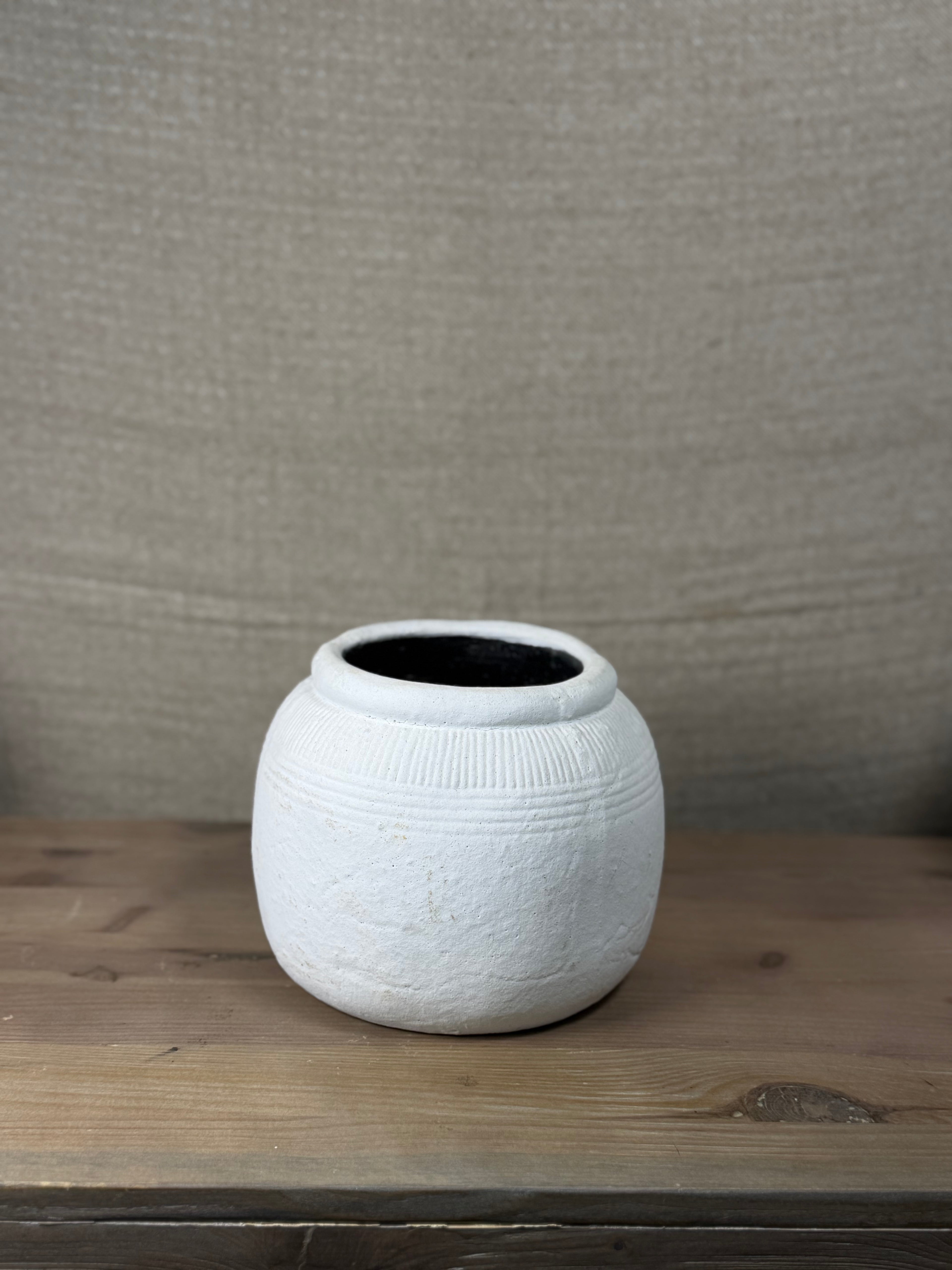 Beckett Vessel - Bone