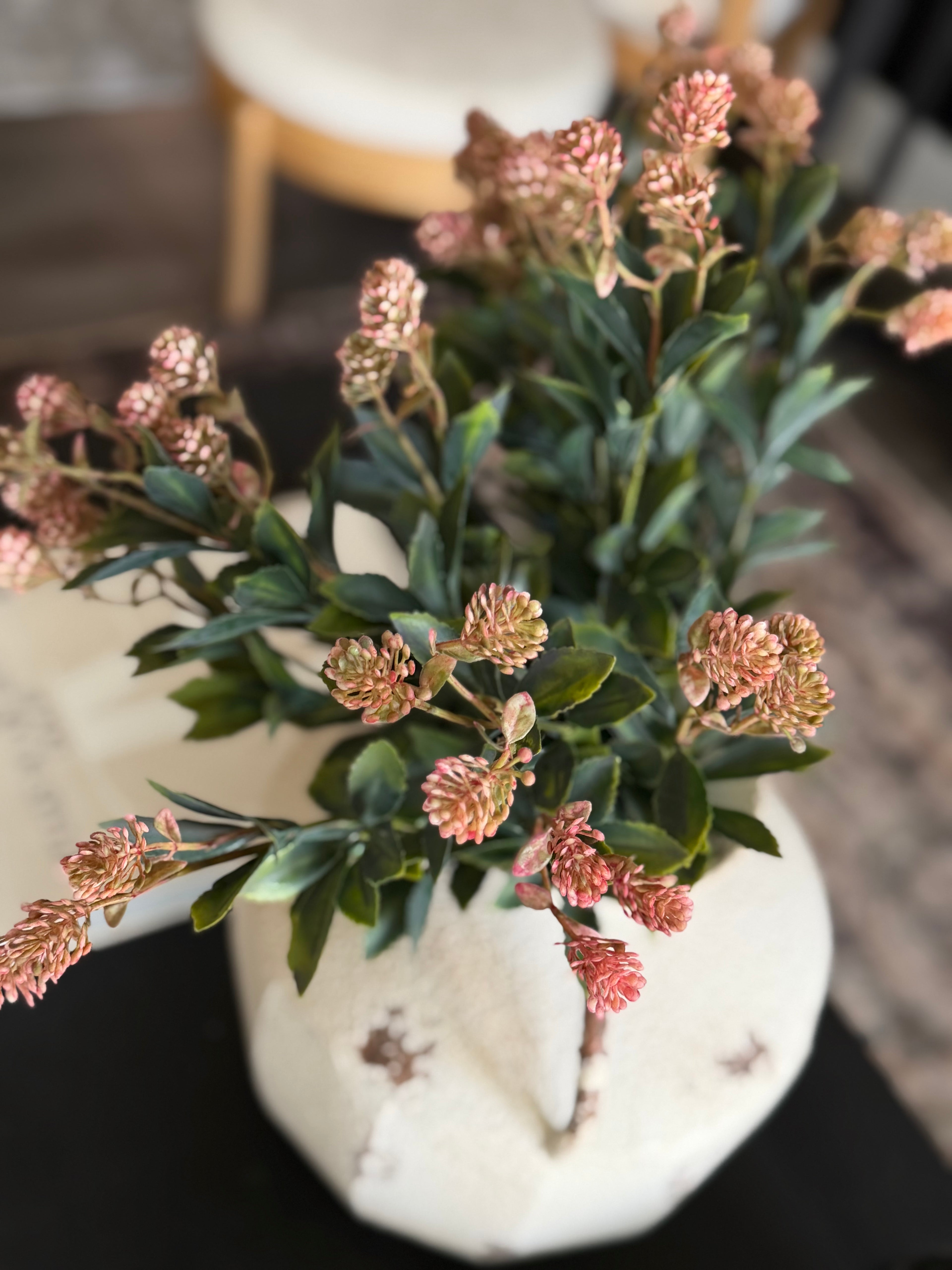 Skimmia Bud Stem 22”