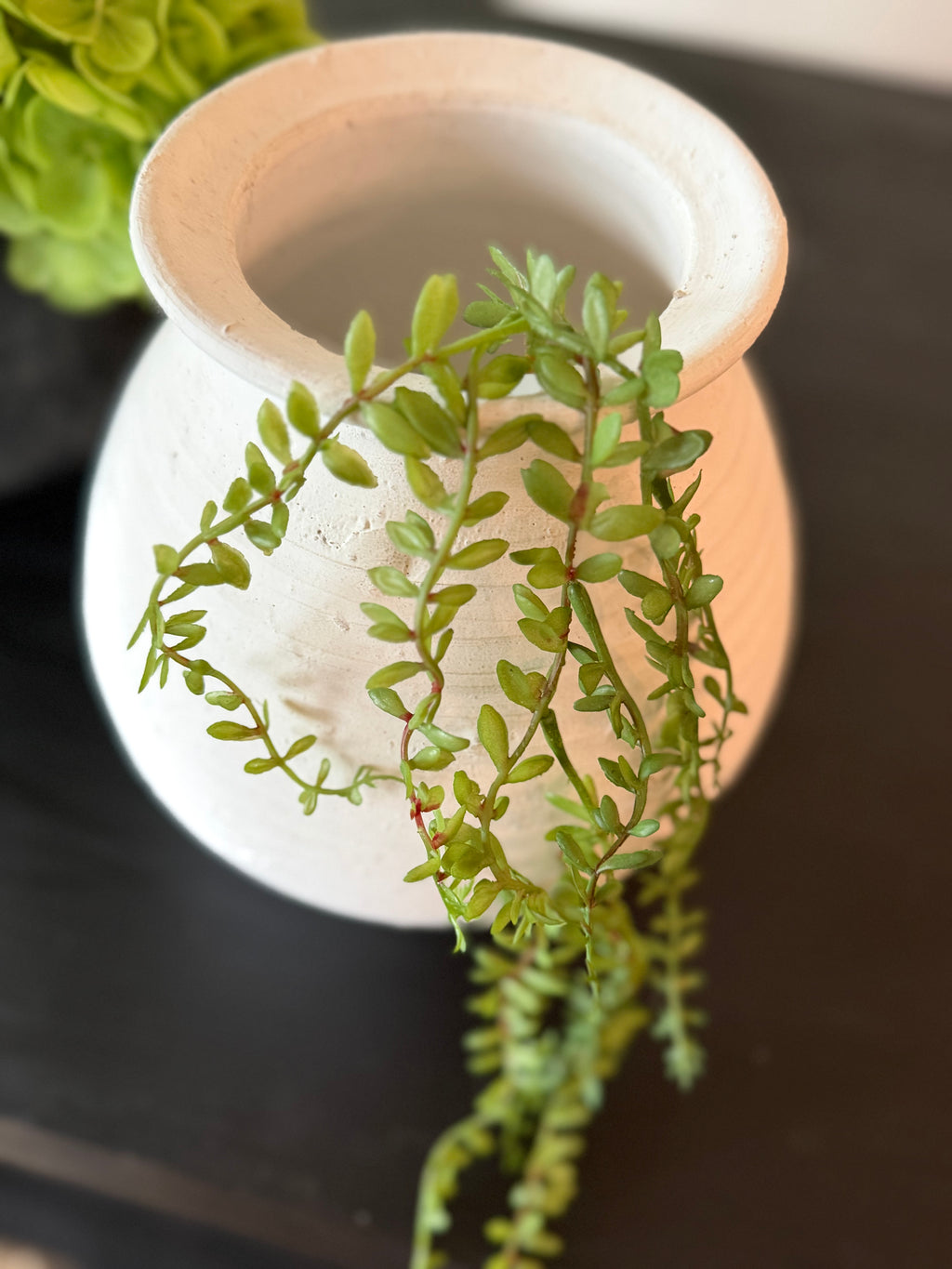 Mini Hanging Succulent