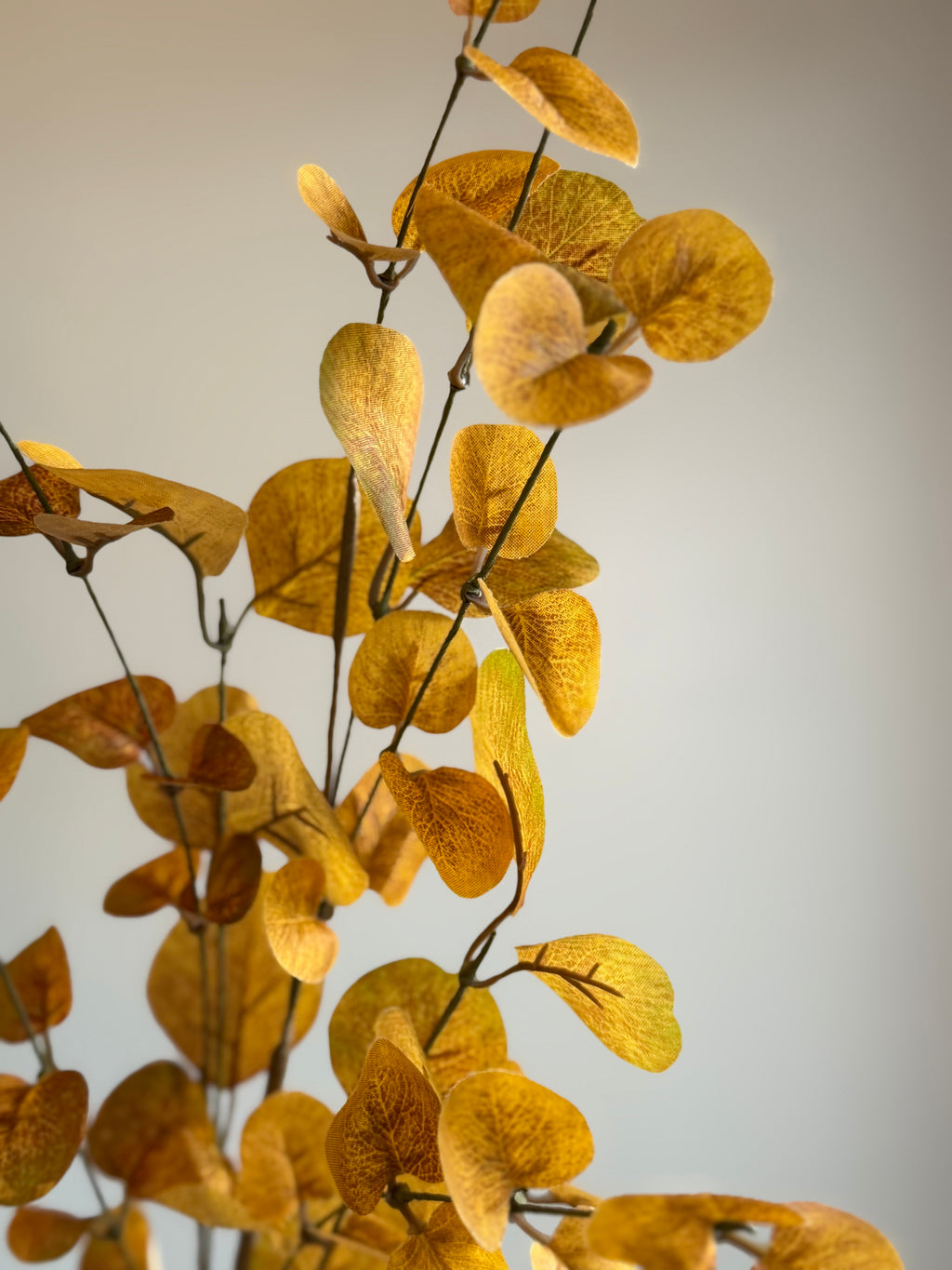Autumn Eucalyptus Spray, Mustard