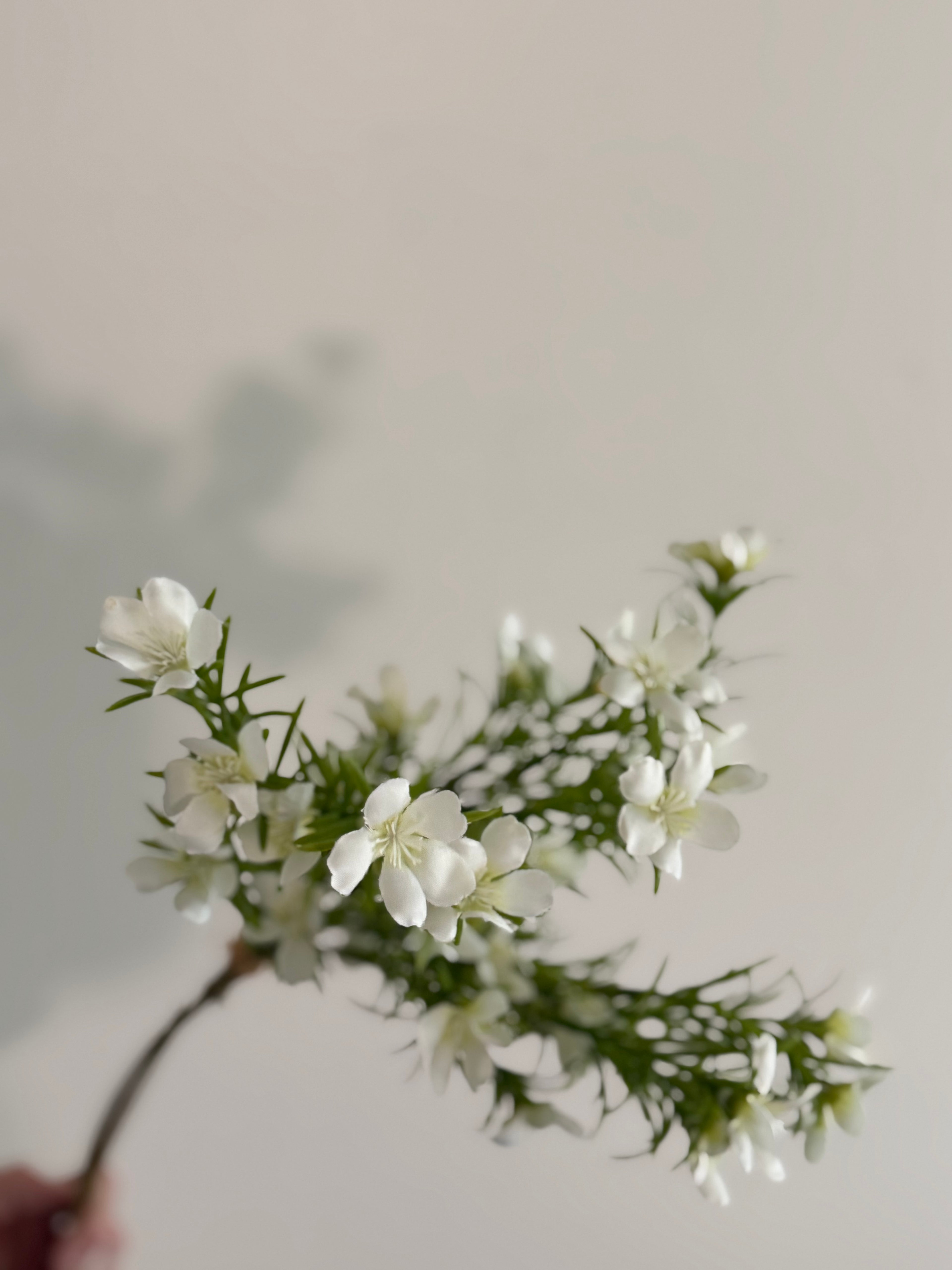 White Astroemeria Pick 20”
