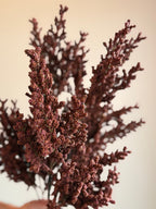 Harvest Berry Branch, Wine
