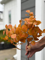 Mustard Eucalyptus Bunch