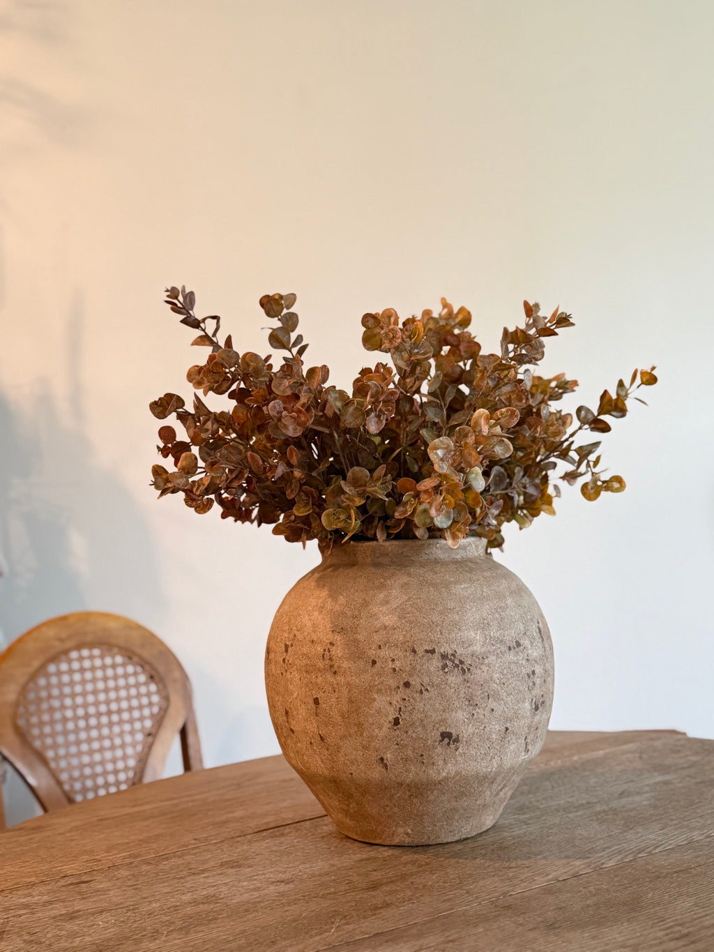 Dusty Eucalyptus Spray