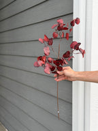 Eucalyptus Stem, Cranberry