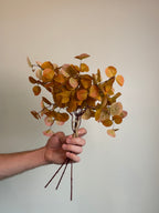 Mustard Eucalyptus Bunch