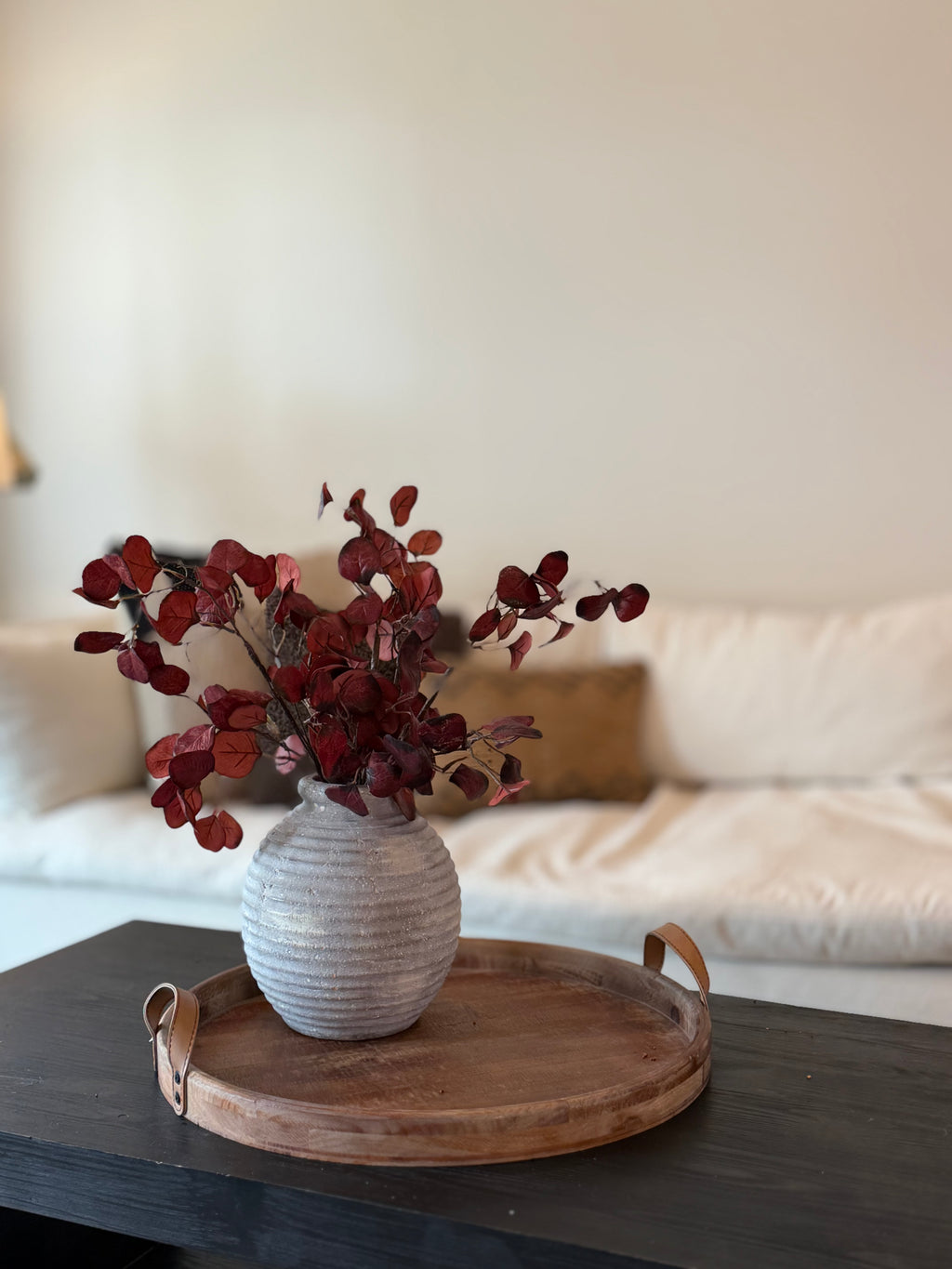 Eucalyptus Stem, Cranberry