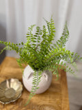 Seed Shape Fern Pick