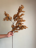 Autumn Berry Branch, Mustard