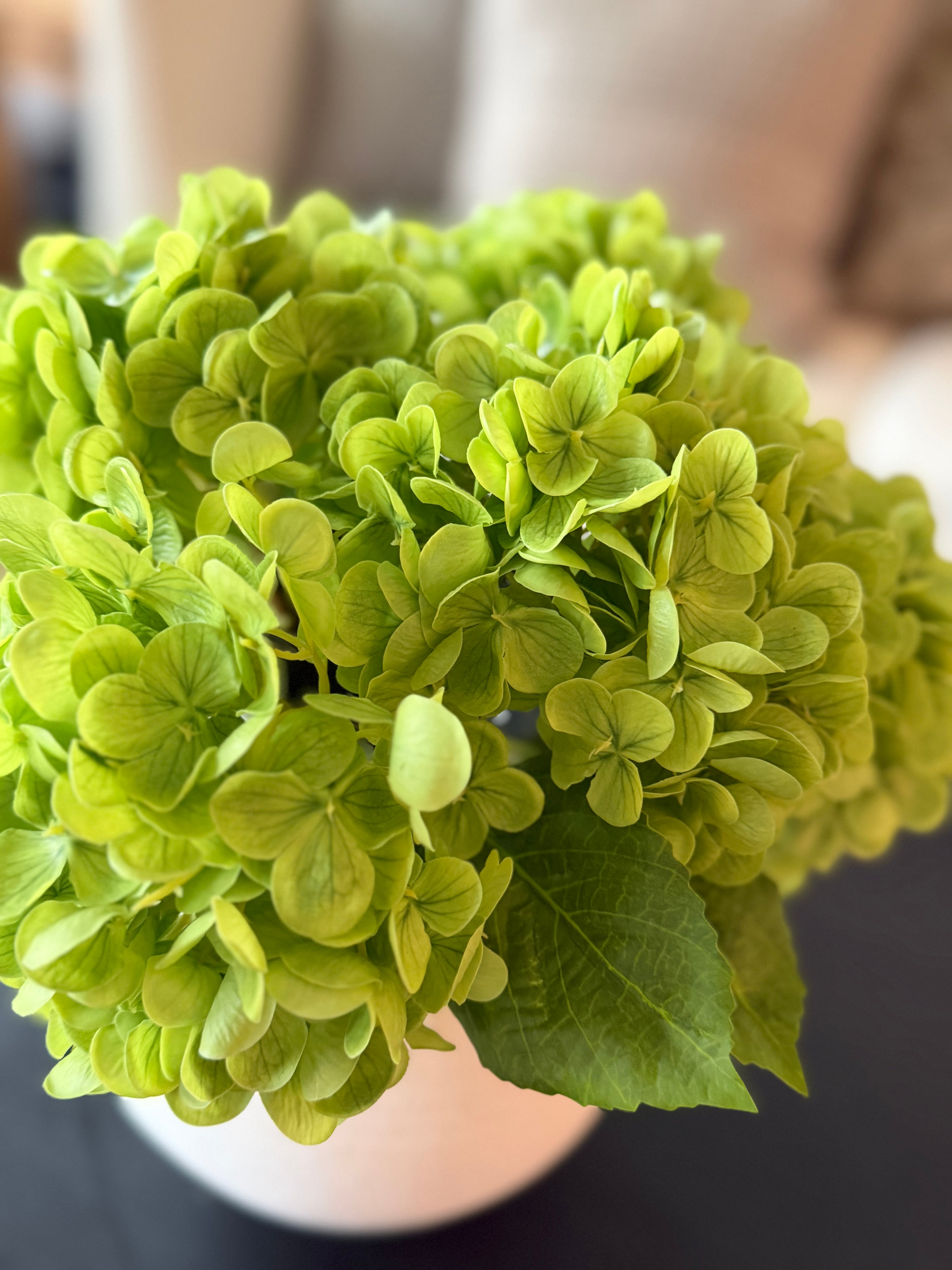 Real Touch Hydrangea Stem, Green 13”