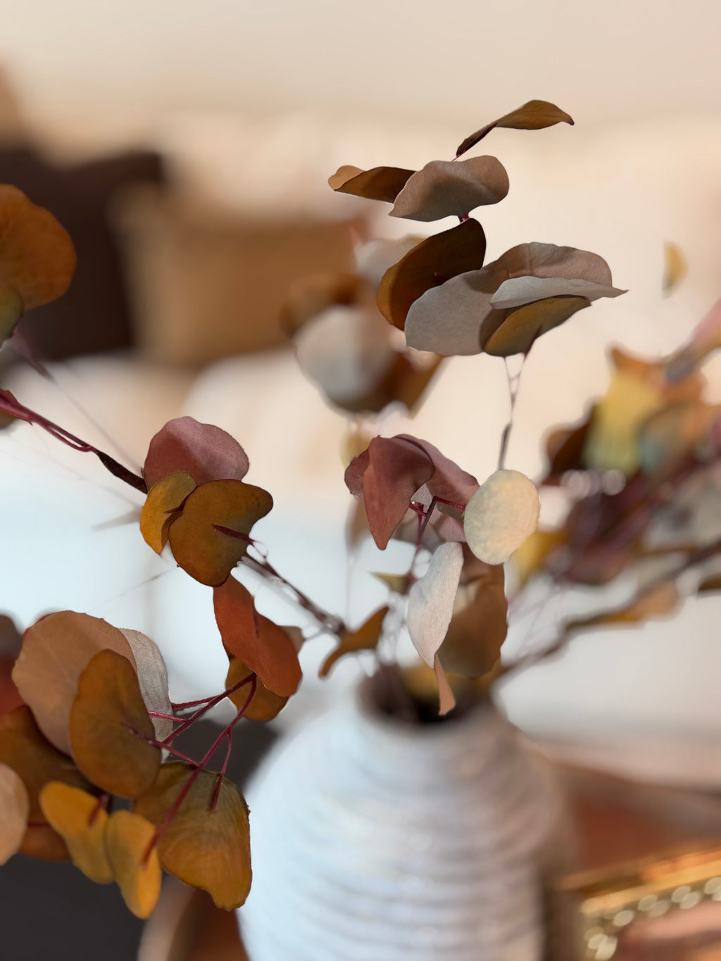 Eucalyptus Stem, Autumn Multi