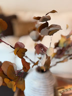 Eucalyptus Stem, Autumn Multi