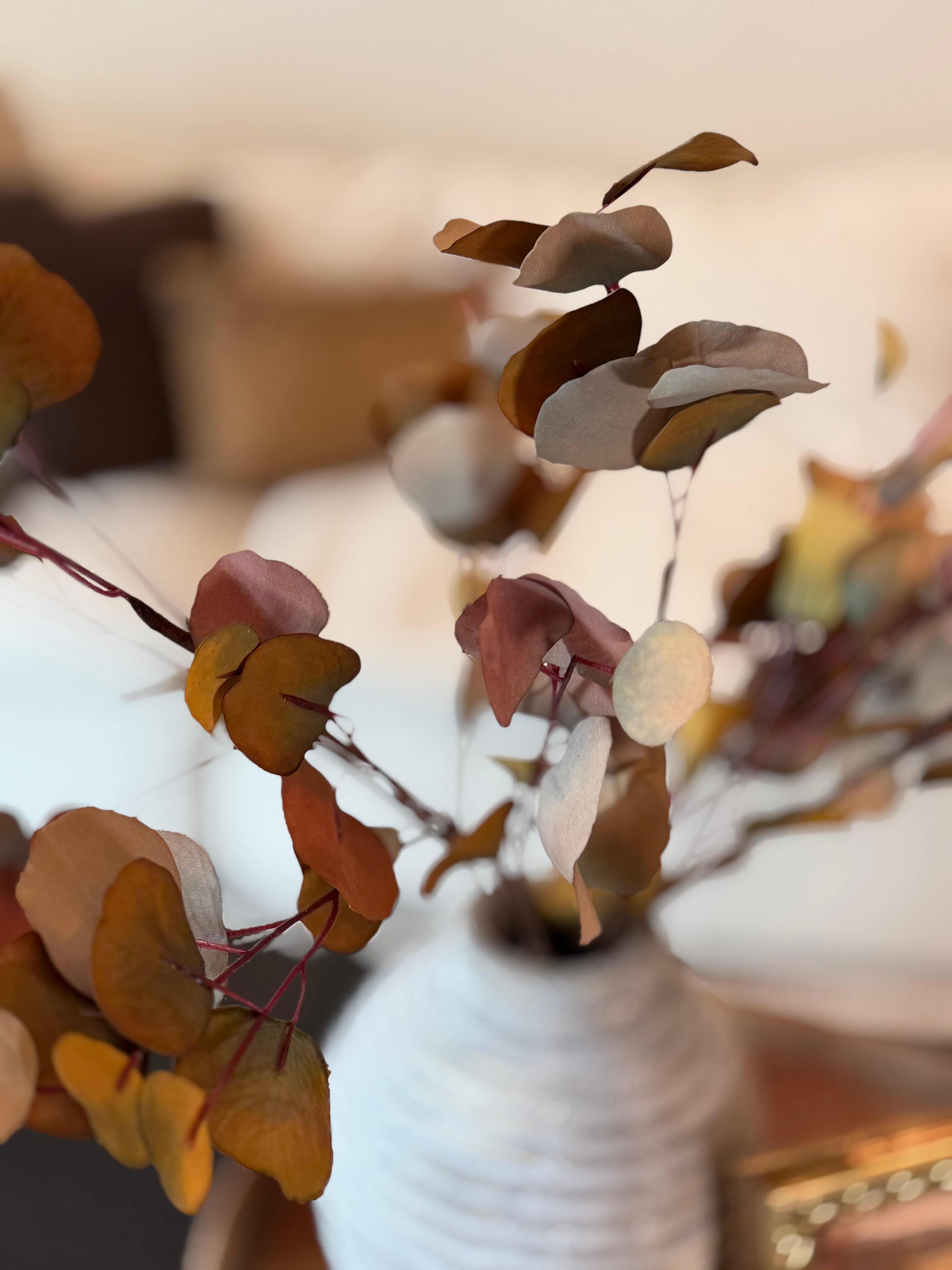 Eucalyptus Stem, Autumn Multi