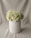 9.6” Vase - Bone