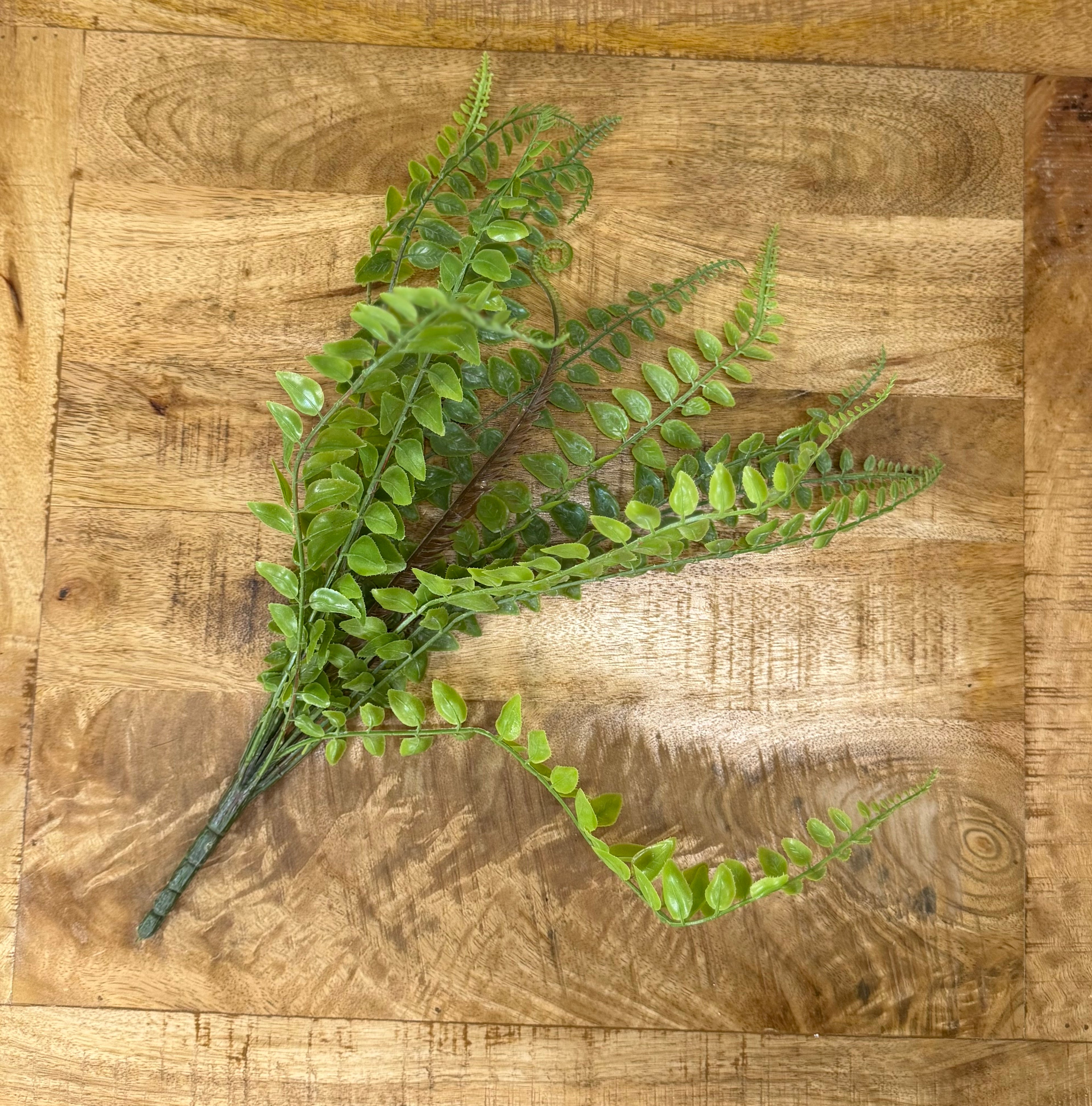 Seed Shape Fern Pick