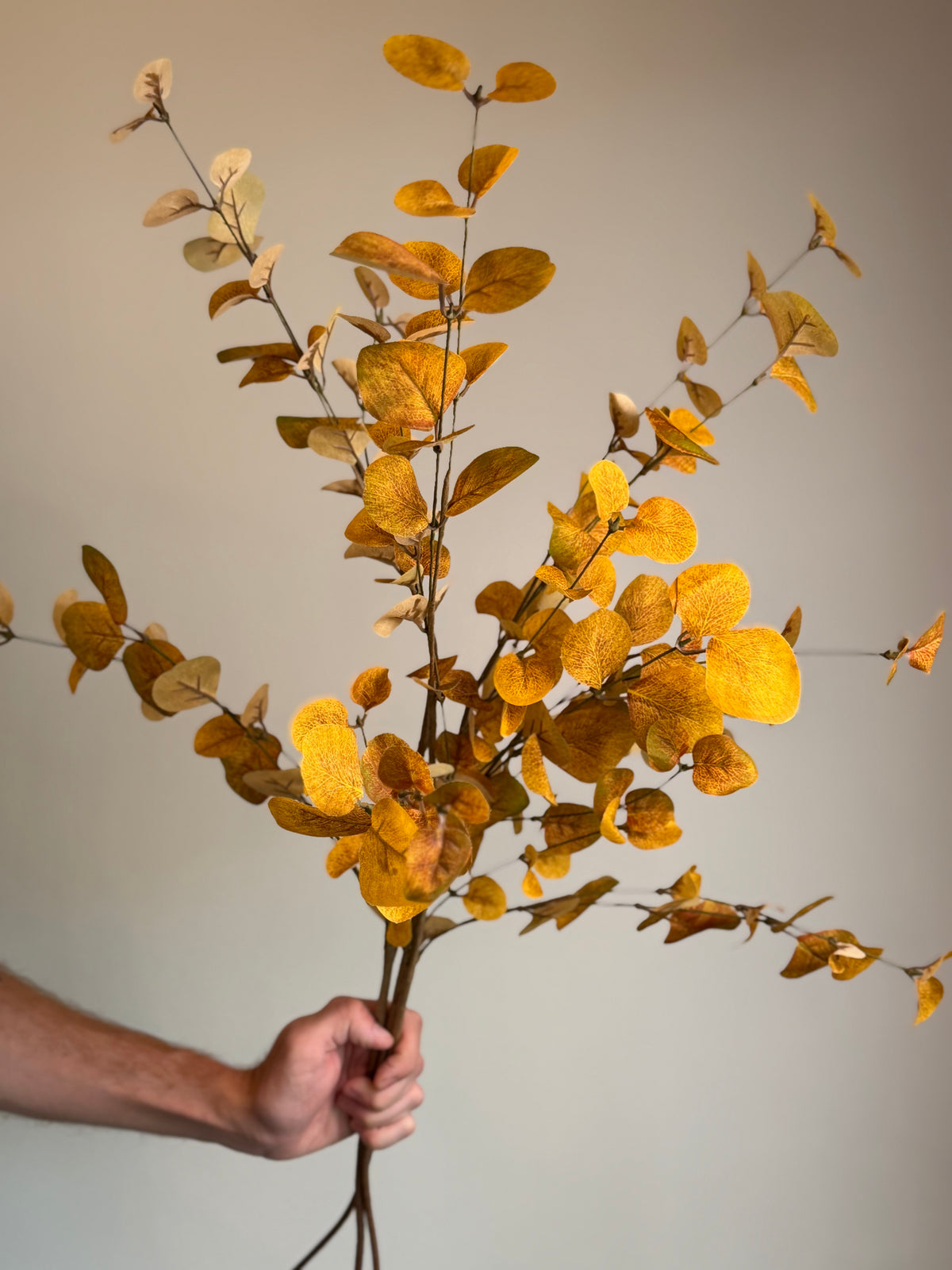 Autumn Eucalyptus Spray, Mustard