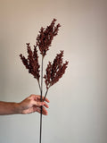 Harvest Berry Branch, Wine
