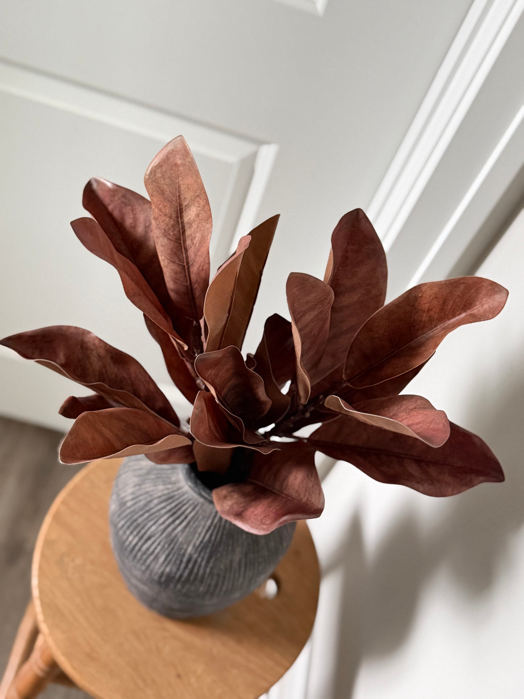 Brown Almond Stem