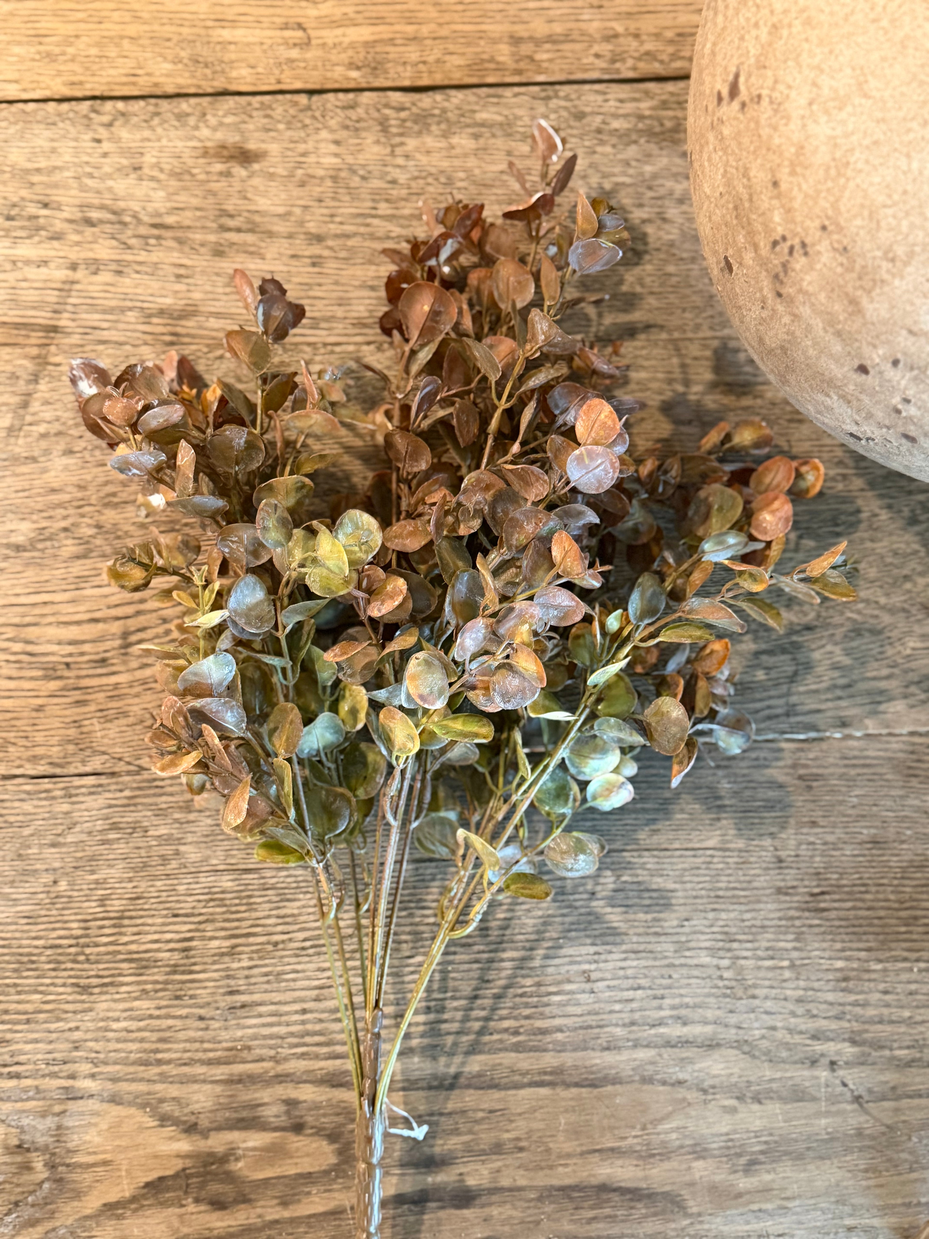 Dusty Eucalyptus Spray
