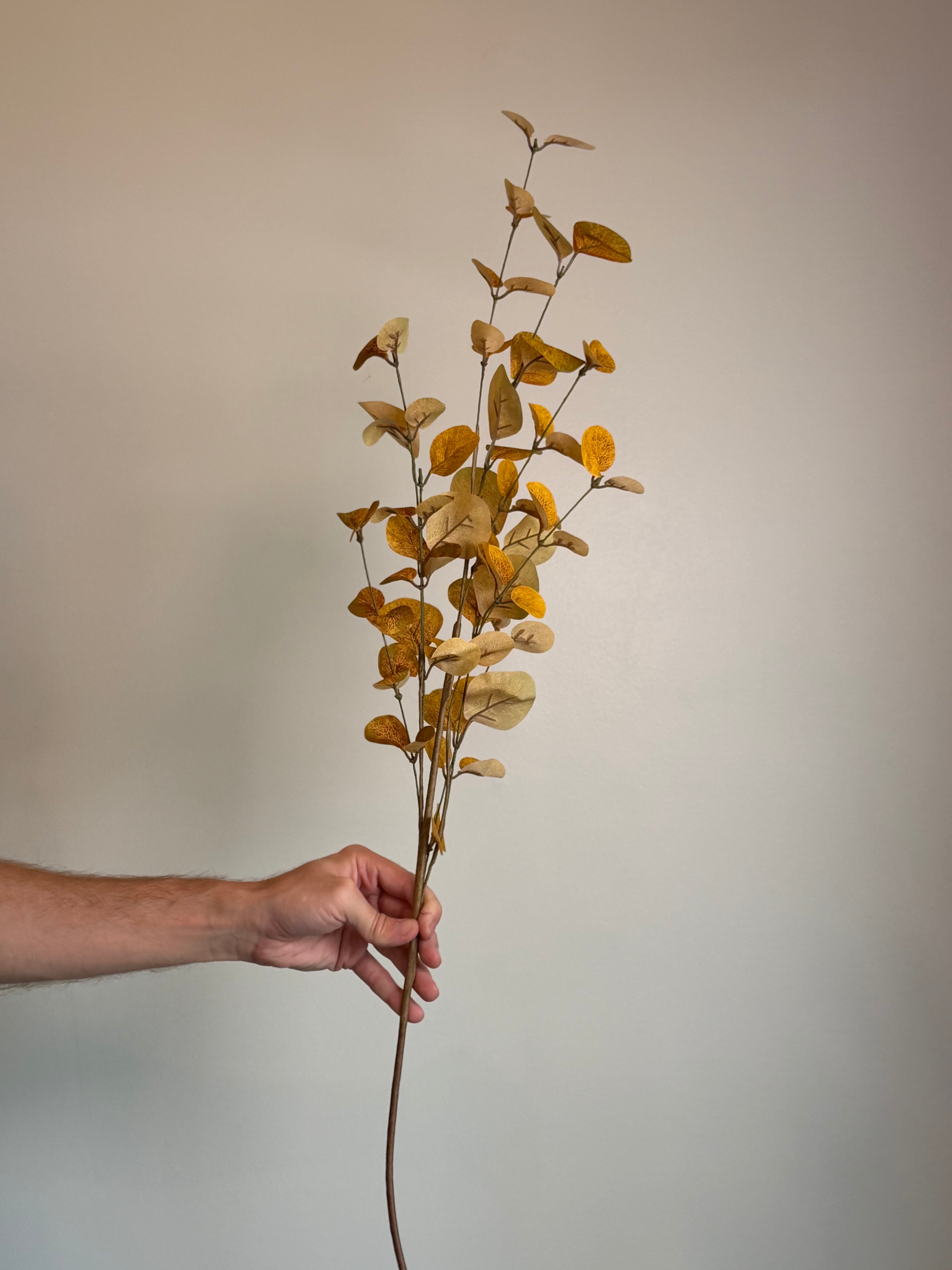 Autumn Eucalyptus Spray, Mustard